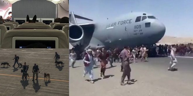 İşbirlikçilerini Afganistan'da bırakan ABD ordusu, köpeklerini ise tahliye etti