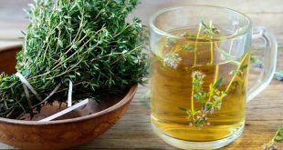 Tümör ve kanser düşmanı kekik suyunun faydaları