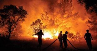 Kuveyt yangınlarla mücadele eden Cezayir'e destek çıktı