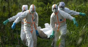 Nijerya'da kolera: Ocaktan beri yüzlerce kişi öldü