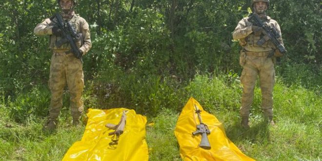 Diyarbakır Lice'de operasyon; 2 terörist öldürüldü