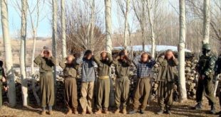 Bu yıl teslim olan PKK'lı sayısı 151 oldu