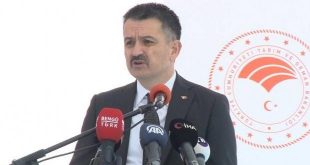 Türkiye ile kardeş ülke Azerbaycan arasında 4 anlaşma imzalandı