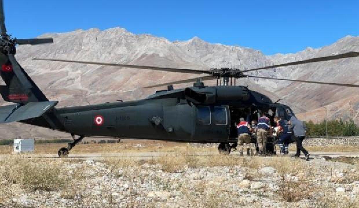 tuncelide ayi cobana saldirdi askeri helikopter yetisti 1633342332 2593