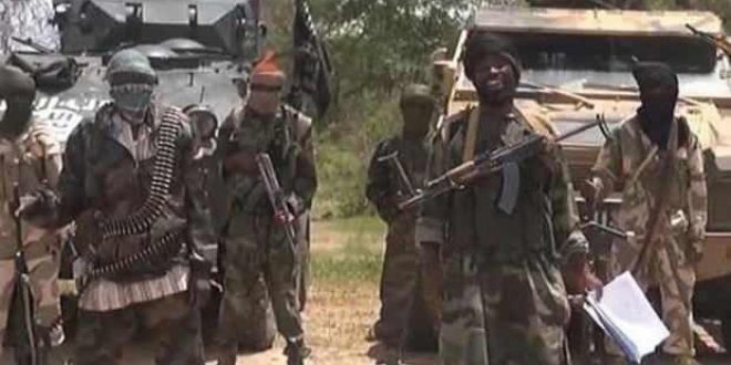 Binlerce Boko Haram üyesi teslim oldu