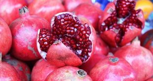 Türkiye'ye kötü haber! Rusya ihracatı durdurdu