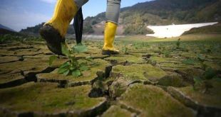 İklim krizinin sorumlusu "en zenginler"