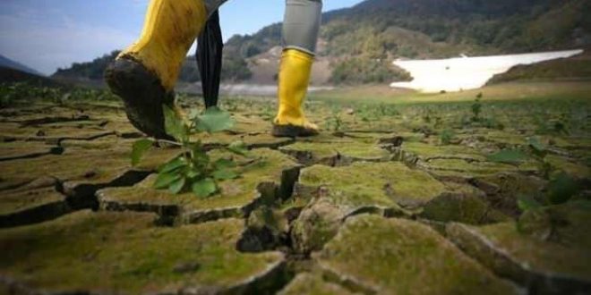 İklim krizinin sorumlusu "en zenginler"