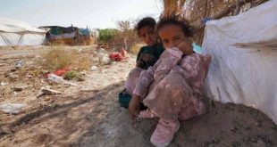 Çatışmaların dinmediği Marib'den 50 bin kişi göç etti