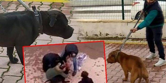 Güvenlik kamerası kayıtları silinmeye çalışılmış