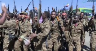 "Eritre ordusu Etiyopya'nın Tigray bölgesine saldırıyor"