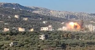 Rusya İdlib'in tavuk çiftliklerini hedef alıyor