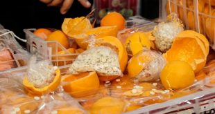 Esed rejimi ve Hizbullah'ın Lübnan üzerinden yaptığı uyuşturucu ticareti