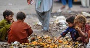 5 ülkeden Afganistan için ortak çalışma grubu