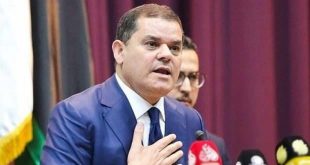 Dibeybe, seçim sorununun faturasını anayasaya kesti