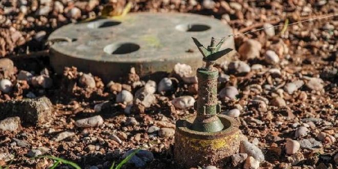 Sınırı kaçak geçmeye çalışan Suriyeli kadın mayına bastı!