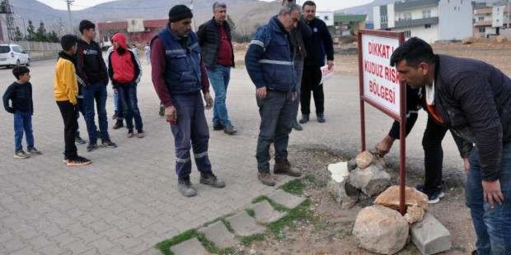 Mardin’de 7 kişiyi ısıran köpek kuduz çıktı; mahalle karantinada