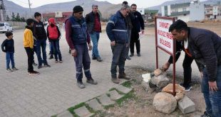 Mardin'de 7 kişiyi ısıran köpek kuduz çıktı; mahalle karantinada