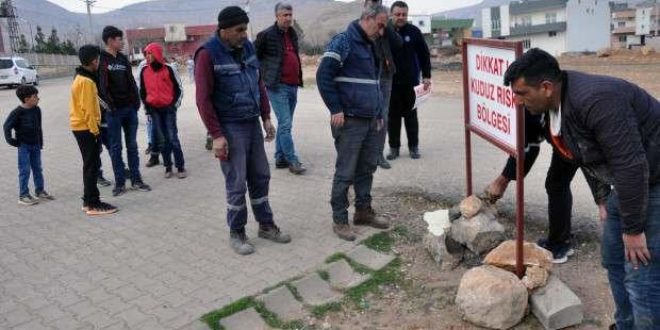 Mardin'de 7 kişiyi ısıran köpek kuduz çıktı; mahalle karantinada