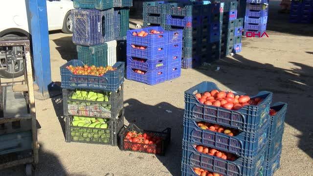 Rusya-Ukrayna savaşı Antalya üreticisini vurdu, sebzeler elde kaldı!