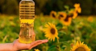 Ayçiçeği yağında fiyat 15-20 güne düşecek açıklaması geldi