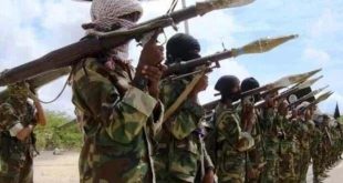 Nijerya: 121 Boko Haram ve ISWAP mensubu öldürüldü