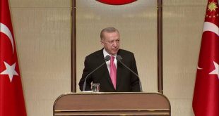Cumhurbaşkanı Erdoğan: Şiddet ve şiddetle mücadele konusunda kadınlardan yana tarafız