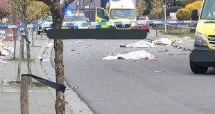 Karnaval için toplanan kalabalığın içine araç daldı: 4 ölü