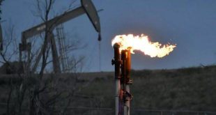 Nijerya Ekvator Ginesi ile doğal gaz anlaşması yaptı