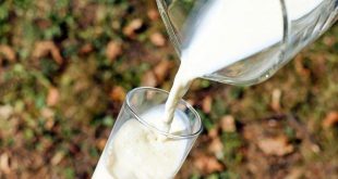 Süt üreticileri süte zam istiyor