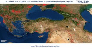 PKK'lı hainden itiraf: Ormanları 10 bin lira için yakmış!