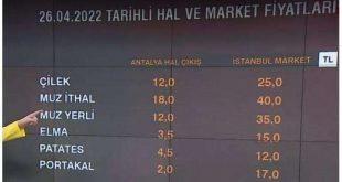 Ziraat Odası: "Fiyat düşmesin diye piyasaya sürmeyip telef ettiler"