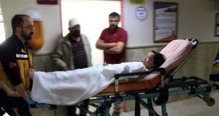 7 köpek 9 yaşındaki kız çocuğuna saldırdı