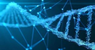 30 yıllık araştırmayla 42 yeni Alzheimer geni bulundu!