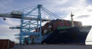 Gemi ambarlarında bekleyen 1,25 milyon ton tahıl için bozulma tehlikesi!