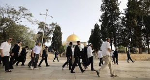 İşgalciler geri durmuyor! Yüzlerce Fanatik Yahudi yine Mescid-i Aksa'yı bastı