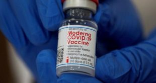 İspanya'da skandal! Aşı tüpünden sivrisinek çıktı