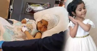 Pitbull saldırısı: Tahliye edilenlere yakalama kararı