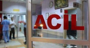 Aydın'da pitbull öğretmene saldırdı!