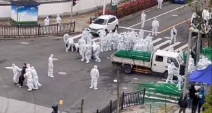 Şanghay'da koronavirüse bağlı ölümler başladı