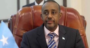 Somali Başbakanı, Afrika Birliği temsilcisini ülkeden kovdu!