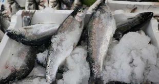 Türk somonu İspanya fuarında