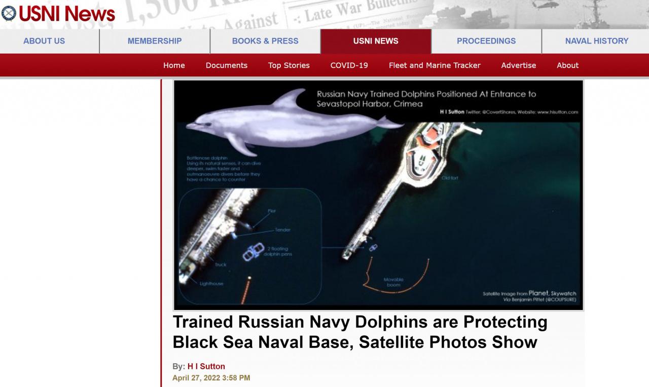 Rusya donanma üssünü yunuslarla koruyor