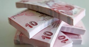 Yeni banknotlar tedavüle giriyor