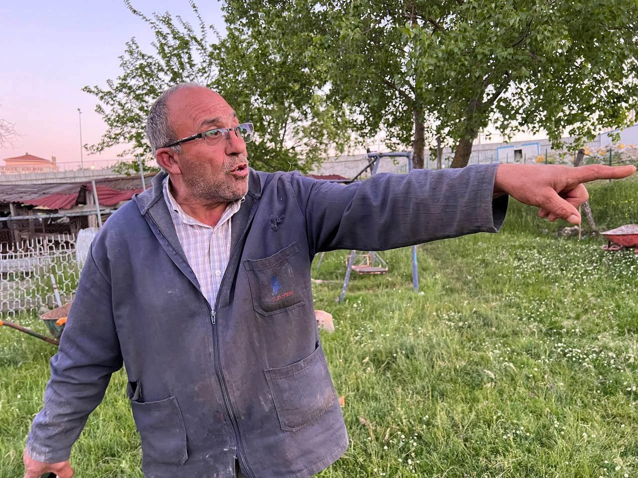 Sokak köpekleri bu kez bahçede otlayan koyunlara saldırdı!