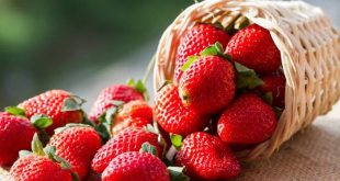 ABD ile Kanada arasında organik çilek krizi