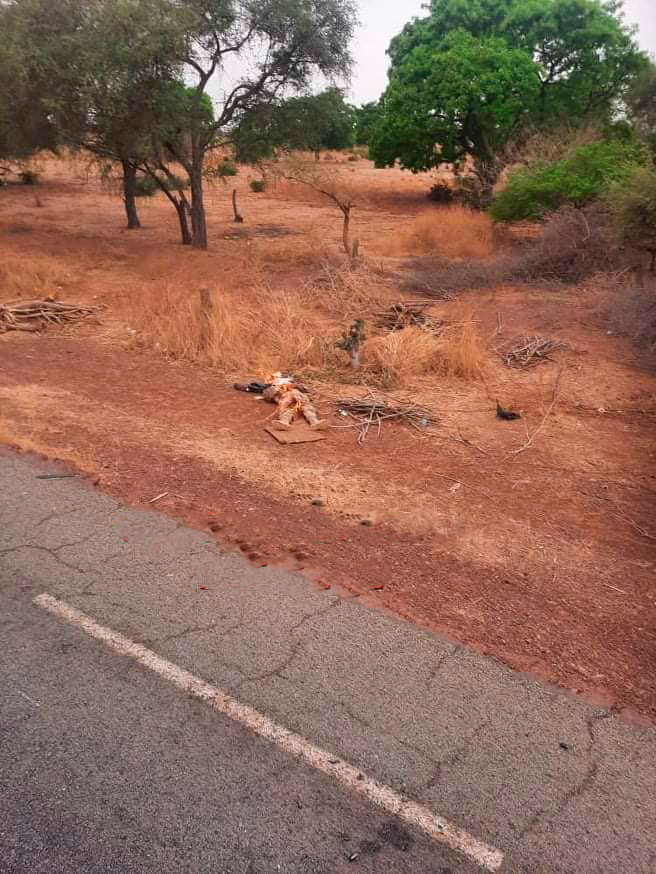 Burkina Faso'da pusu: 11 ölü