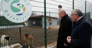Cumhurbaşkanı Erdoğan'dan Belediye Başkanlarına 'sokak köpekleri' uyarısı!