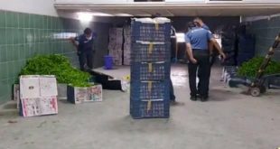 Yine bir cinayet, sonrasında intihar!