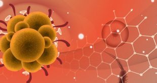 Fas'ta maymun çiçeği virüsü şüphesiyle 3 kişi hastaneye kaldırıldı